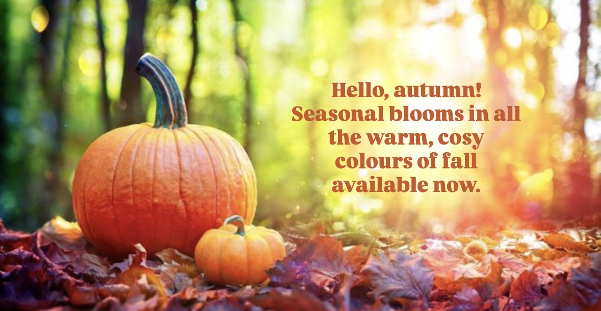Autumnal header