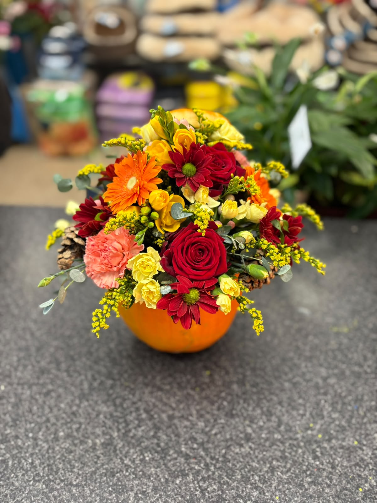 Autumnal pumpkin